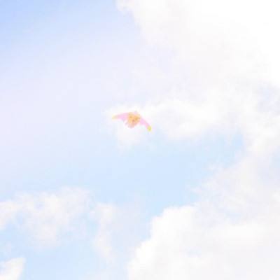 蓝月沙城霸主传奇最新版(暂未上线)v1.0 安卓版